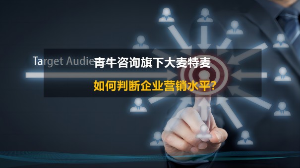 如何判斷企業營銷水平？營銷咨詢公(gōng)司為(wèi)你揭秘